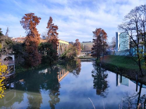 a view of a river with trees and buildings at OFFICINE CAVOUR Piazza Cavour in Padova