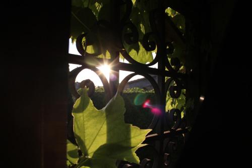 a view of the sun through a metal fence at Hotel La Posada de Lalola in Buera