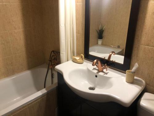 ブカレストにあるMarie Apartmentの洗面台、鏡、浴槽のあるバスルーム