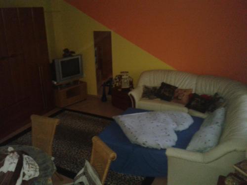 a living room with a couch and a tv at Elefánt Apartment in Keszthely