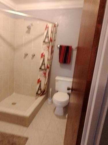 een badkamer met een toilet, een douche en een wastafel bij Errol and Nancy's Place in Nassau