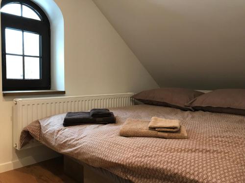 sypialnia z łóżkiem z dwoma ręcznikami w obiekcie Apartamenty GOSZOWIANKA w Stroniu Śląskim