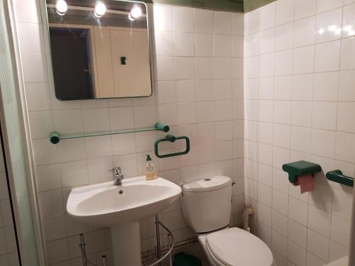 La salle de bains est pourvue de toilettes, d'un lavabo et d'un miroir. dans l'établissement Villa Naturiste NATURE Héliovillage 104, au Cap d'Agde