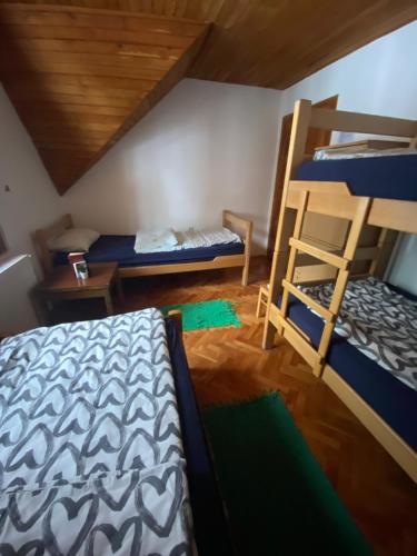 a bedroom with two bunk beds and a ladder at Rustic Home Tara in Kaludjerske Bare