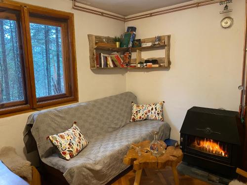 a living room with a couch and a fireplace at Rustic Home Tara in Kaludjerske Bare