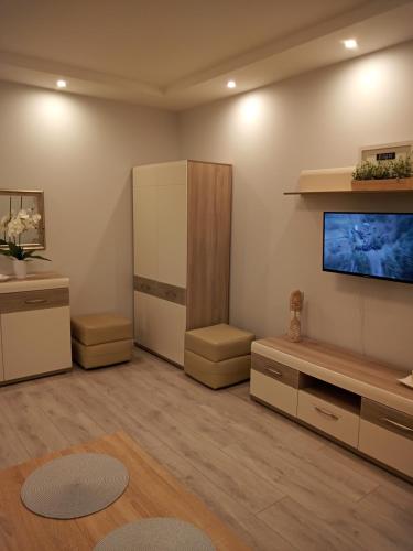 Televízia a/alebo spoločenská miestnosť v ubytovaní Apartament Łańcut