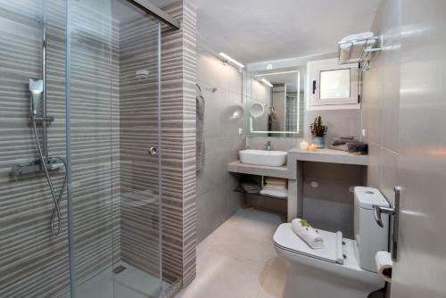 a bathroom with a shower and a toilet and a sink at Villa Eleni Paxos in Gaios