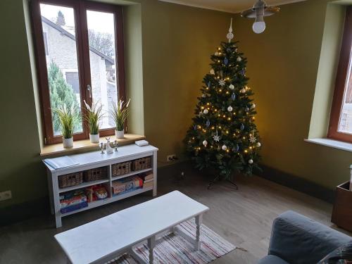 - un salon avec un arbre de Noël dans le coin dans l'établissement Au Pied du Gazon, à Saint-Maurice-sur-Moselle