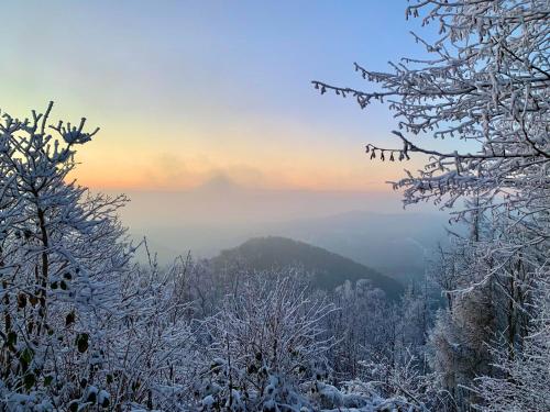 a view of a mountain with snow covered trees at HARZ HOTEL und Gästehaus am Bornweg in Bad Sachsa