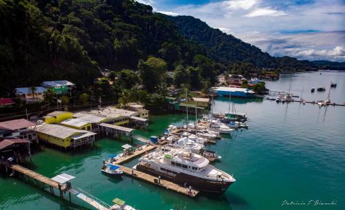 a group of boats docked at a dock in the water at Banana Bay Marina in Golfito