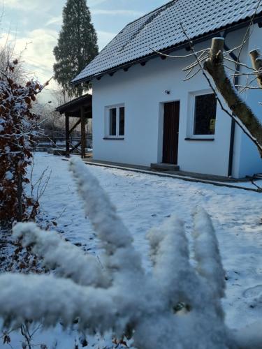 a snow covered yard with a white house at Domek Drwala k. Karpacza in Sosnówka