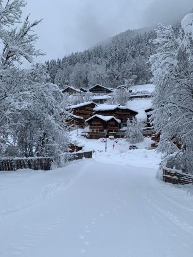 Studio Montagne pieds des pistes et départ de randonnée Été comme Hivers
