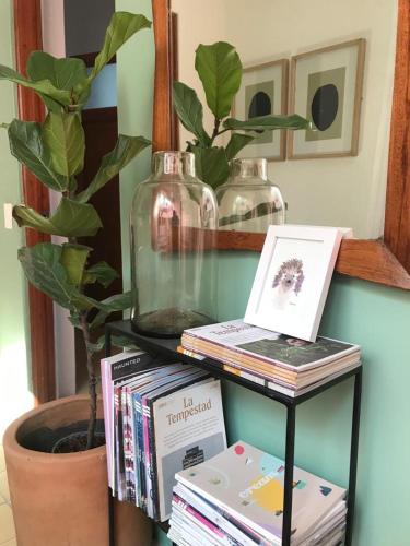 a glass table with books and a potted plant at Mesón San Felipe in Guadalajara