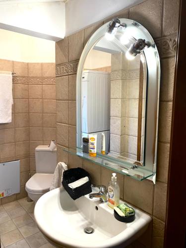 a bathroom with a sink and a mirror and a toilet at Kalavrita Mountain Resort in Kalavrita