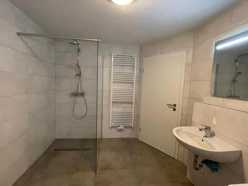 uma casa de banho com uma cabina de duche em vidro e um lavatório. em Ferienwohnung Nordsauerland em Lennestadt