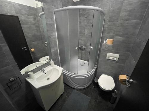 a bathroom with a shower and a sink and a toilet at OTHER STORIES / Palas Retreat in Iaşi