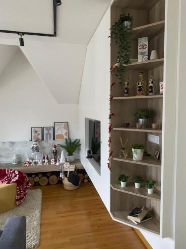 a living room with shelves with potted plants at Sunny Sight Zlatibor in Zlatibor