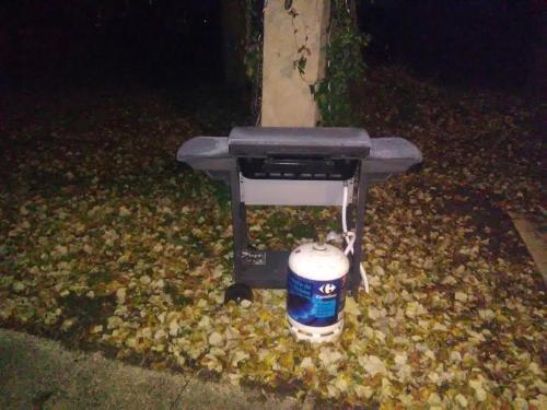 a trash can sitting on a pile of leaves at Mlle Labeaume in Aigueperse