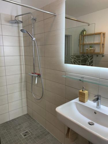 een badkamer met een douche, een wastafel en een spiegel bij NEU: Grüne Idylle nahe Hauptbahnhof & Hufeisensee in Halle an der Saale