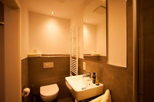 ein Badezimmer mit einem Waschbecken, einem WC und einem Spiegel in der Unterkunft Landgasthof Schneider, Westfeld in Schmallenberg