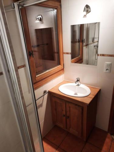 a bathroom with a sink and a mirror and a shower at Le petit caboin in Seytroux