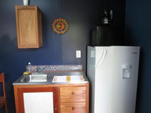 a kitchen with a sink and a refrigerator at Axios Sun Apartments Caye Caulker in Caye Caulker