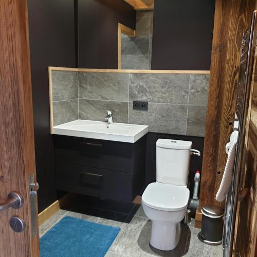 a bathroom with a white toilet and a sink at CHALET MARY in Essert-Romand