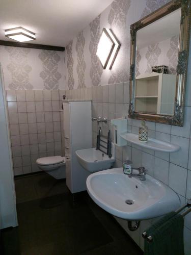 a bathroom with a sink and a toilet and a mirror at Westwind in Eggstedt