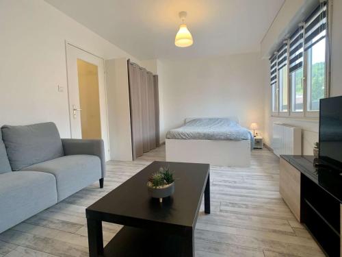 ein Wohnzimmer mit einem Sofa und einem Bett in der Unterkunft Charmant studio centre ville de Mutzig in Mutzig