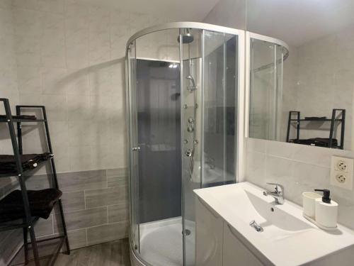 米特齊的住宿－Charmant studio centre ville de Mutzig，带淋浴、盥洗盆和镜子的浴室