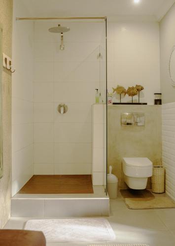 a bathroom with a shower and a toilet at The Villa Salt Rock in Ballito