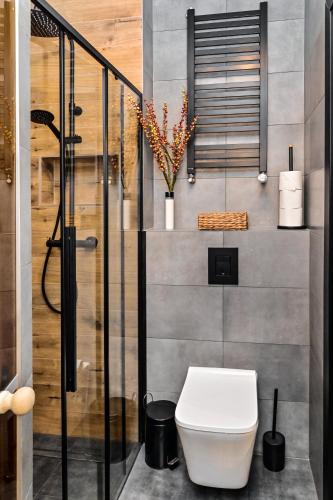 a bathroom with a white toilet in a room at Apartament LOFTSPA in Ustrzyki Dolne