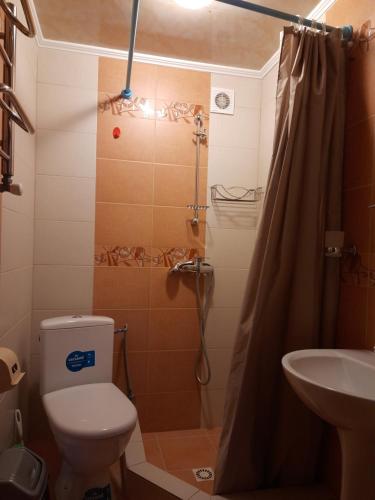 La salle de bains est pourvue d'une douche, de toilettes et d'un lavabo. dans l'établissement Guest House Stari Druzy, à Slavsko