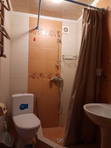 a bathroom with a shower, toilet and sink at Guest House Stari Druzy in Slavske