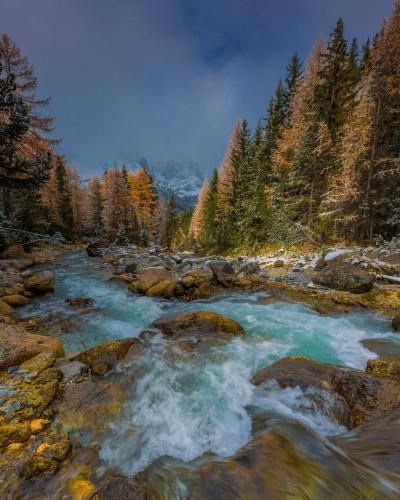 a river with rocks in the middle of a forest at Familiehotel La Randulina in Ramosch