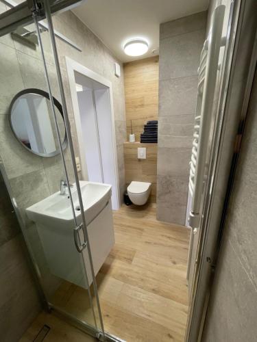 Un baño con inodoro, lavabo y espejo. en Salmopolskie Zacisze, en Szczyrk