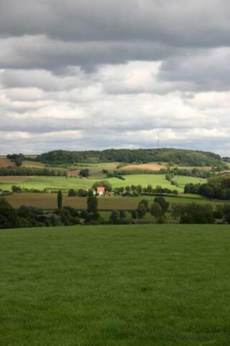 a field of green grass with a house in the distance at The Dutch Hills in Gulpen