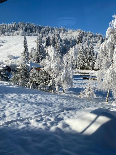 a snow covered field with trees in the background at Plavianska Sadyba in Plav'ya