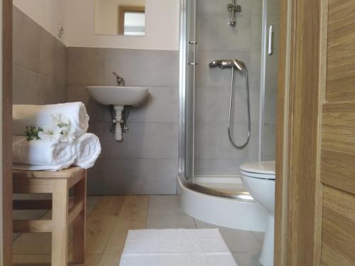 a bathroom with a shower and a toilet and a sink at Noclegi nad Biebrzą Stara Szkoła in Wroceń