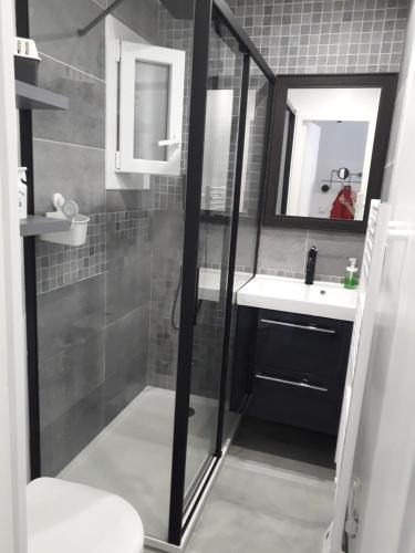 La salle de bains est pourvue d'une douche, d'un lavabo et de toilettes. dans l'établissement au cœur des pins, au Cap d'Agde