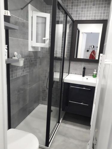 une salle de bain avec une douche, un lavabo et des toilettes dans l'établissement au cœur des pins, au Cap d'Agde