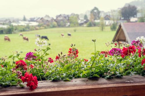 a bunch of flowers on a window sill with a field of cows at Haus Sonja in Altaussee
