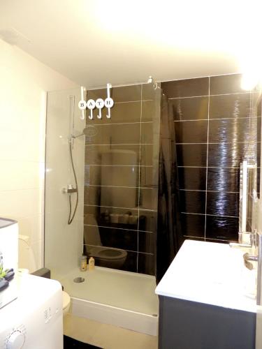 une salle de bain avec une douche, des toilettes et un lavabo dans l'établissement Le COSY Toulouse 3 min de la Gare à pieds Parking gratuit ventilateur, à Toulouse