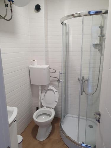 a bathroom with a toilet and a glass shower at Divcibare Centar 2 in Divčibare