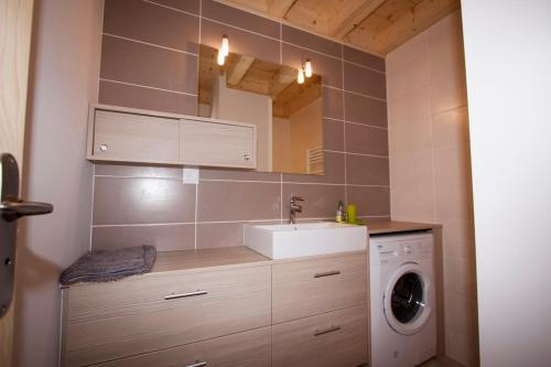 ein Badezimmer mit Waschbecken und Waschmaschine in der Unterkunft Entre Lac et Montagnes in Faverges