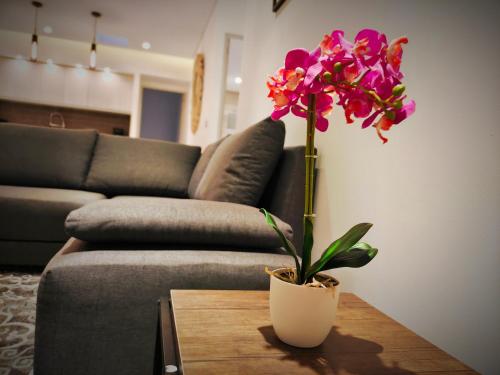 a flower in a vase on a table next to a couch at 1st Luxury Warehouse in Cancún