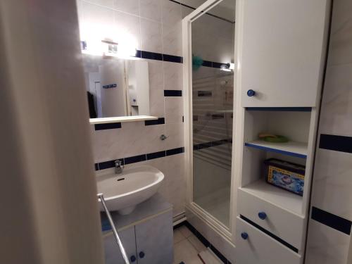 une salle de bain avec un lavabo et une douche dans l'établissement Appartement Marina Soleil Bleu, au Barcarès