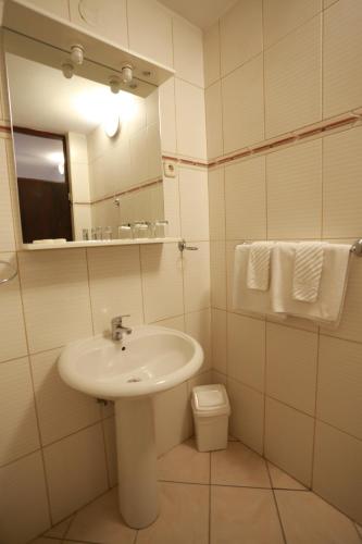 a bathroom with a sink and a mirror and a toilet at Rustika Sobe in Osijek