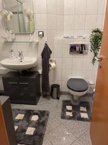 a bathroom with a toilet and a sink at Zur Sonnenterrasse in Hemer