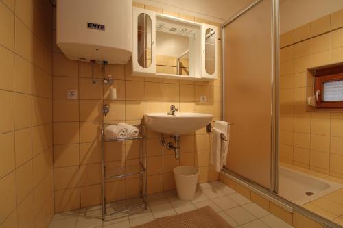 een badkamer met een wastafel en een douche bij Apartment ANDA in Bad Kleinkirchheim